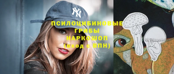 герыч Арсеньев