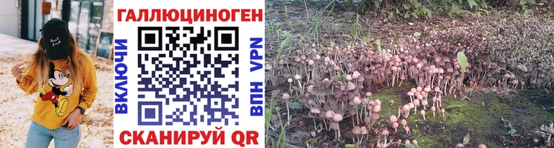 магазин продажи наркотиков  kraken   Галлюциногенные грибы Psilocybe  Полысаево 