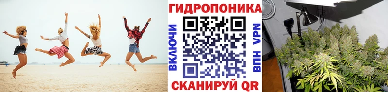 как найти закладки  это телеграм  MEGA вход  Канабис гибрид  Полысаево 